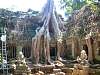 Ta Prohm